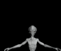 52a35be71b7c8.png